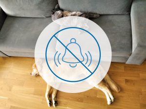 pet immunity il tuo domestico riconosciuto e ignorato dal sistema per evitare falsi allarmi