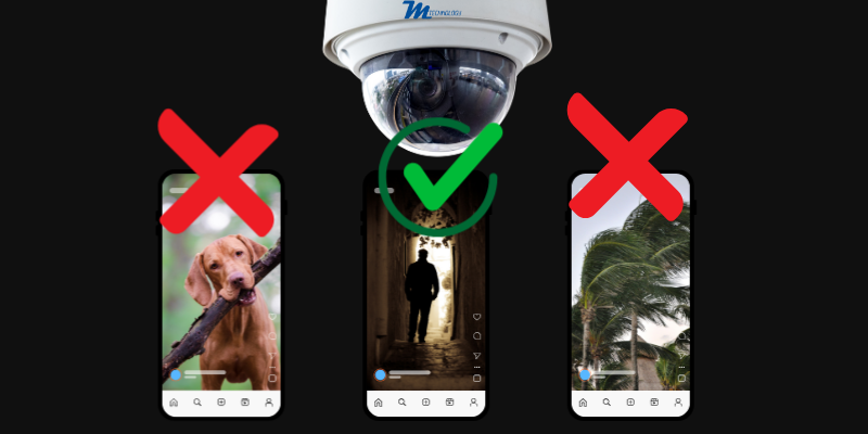sistemi di rilevamento intrusioni zero falsi allarmi